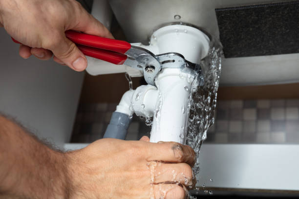 Best Water damage cleanup near me  in Inverness Highlands North, FL