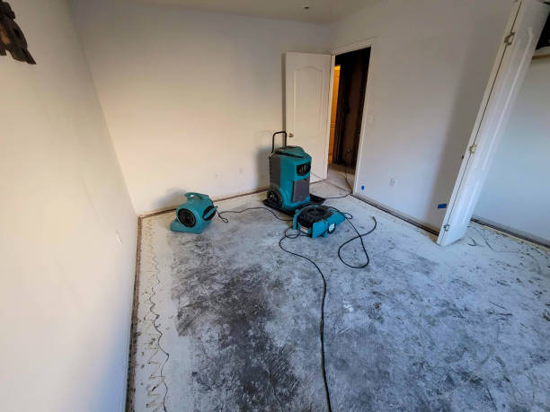 Carpet water damage restoration in Inverness Highlands North, FL
