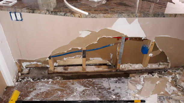 Best Local water damage restoration  in Inverness Highlands North, FL