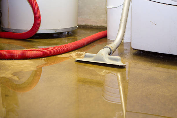 Best Mold removal after water damage  in Inverness Highlands North, FL