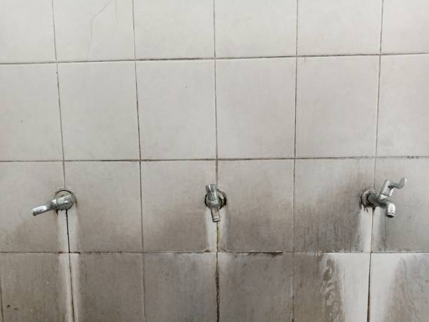 Water damage restoration experts in Inverness Highlands North, FL