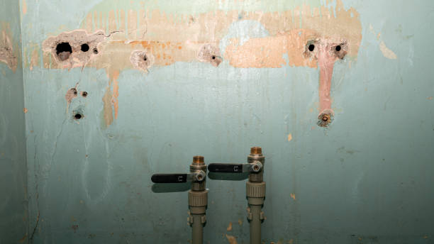  Inverness Highlands North, FL Water damage restoration Pros