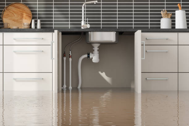 Best Commercial water damage restoration  in Inverness Highlands North, FL