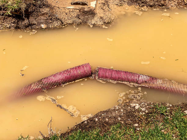 Best Water damage restoration near me  in Inverness Highlands North, FL