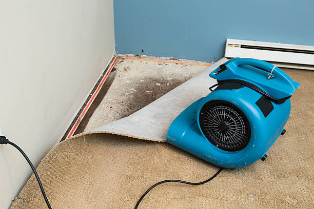 Inverness Highlands North, FL Water damage restoration Company